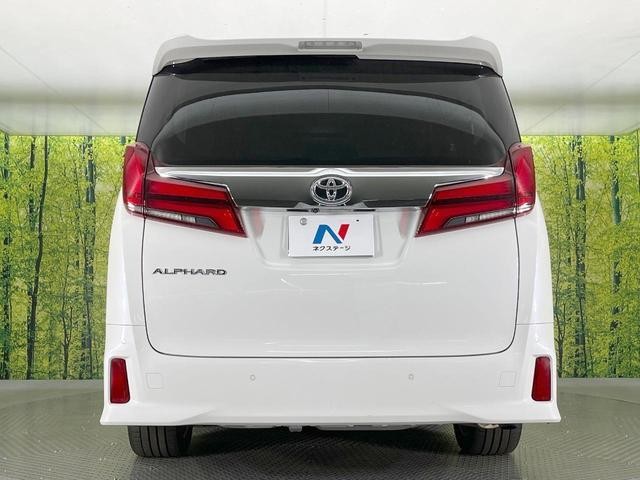26645112_carP_l_11.jpg