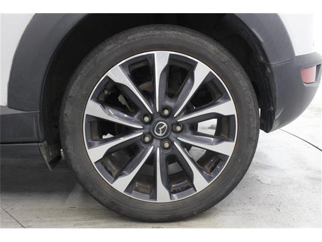 a749beb22e9e9095bd5fa9996a8a22ec.jpg