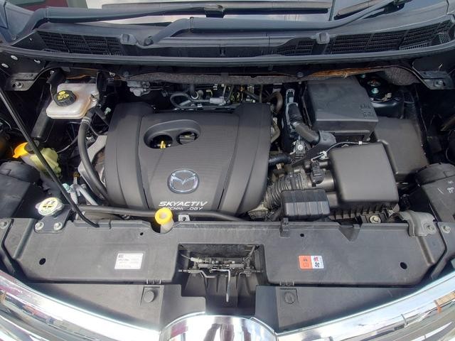 0803383A30260824W00218.jpg