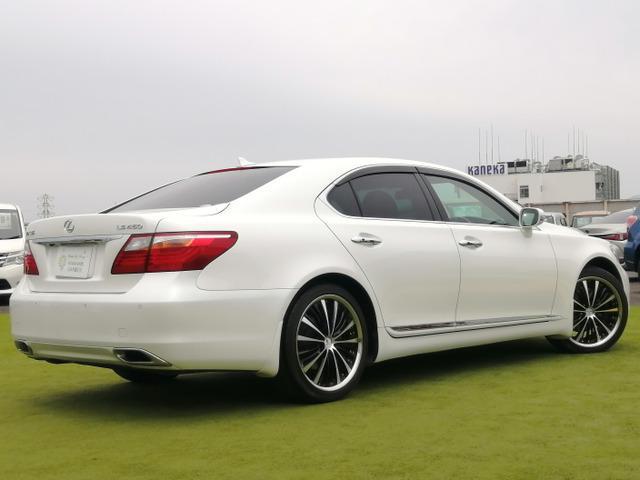 22913606_carP_l_3.jpg