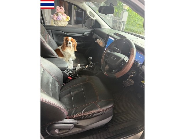 a8ce8415f05470da2b334fe39468cec4.jpeg