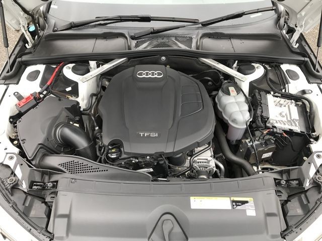12f9768285122cfee74e3575fd2e332e.jpg