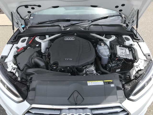 4ba1b6b9887c8193fd446cc66dcb292b.jpg