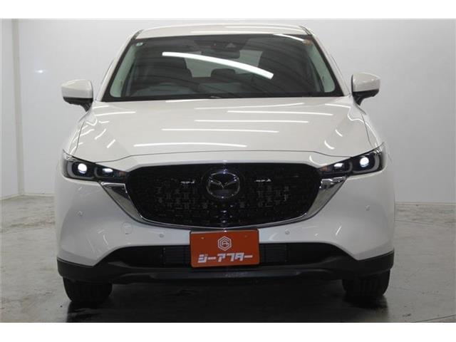 027a6ea13379adf21699b2db978e0b62.jpg