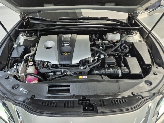 6101500554R5.jpg