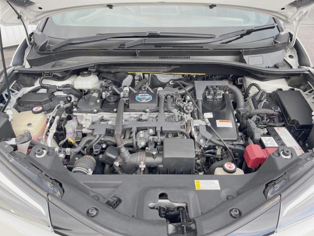 23169661_carP_l_20.jpg