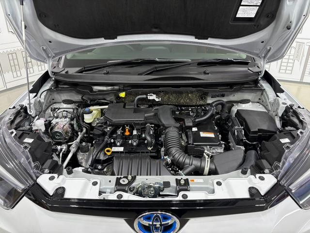 1150063A30261018W00117.jpg