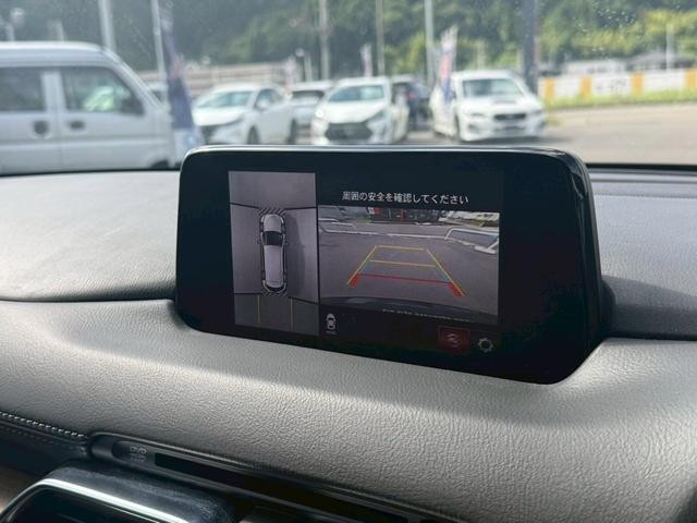 0904321A30260705W00510.jpg