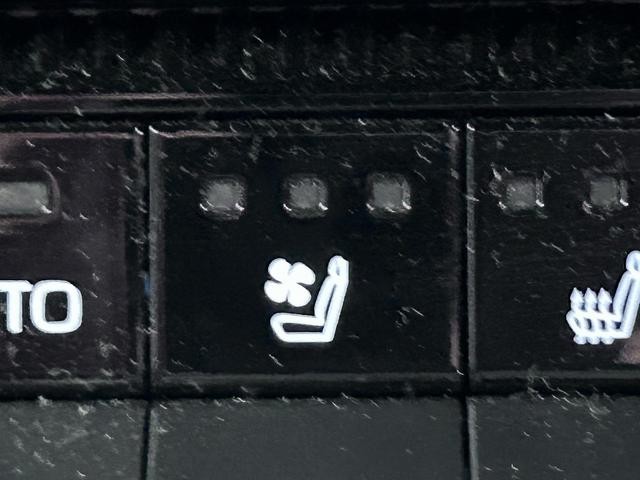 0704328A30260926W00113.jpg