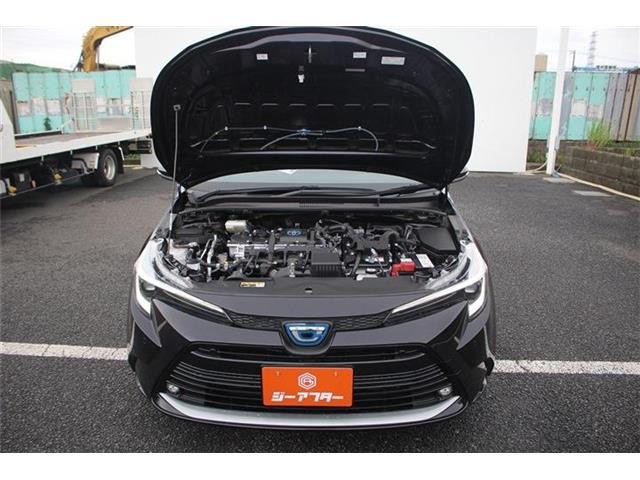 b54a305bf6a3d569f506dc9c62699be0.jpg