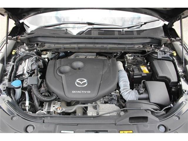 1ef8036b72e6700eb5ddaca3175ee631.jpg