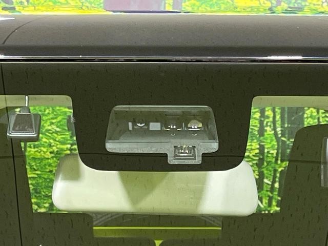 27184872_carP_l_10.jpg