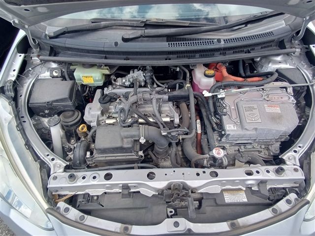 08.jpg
