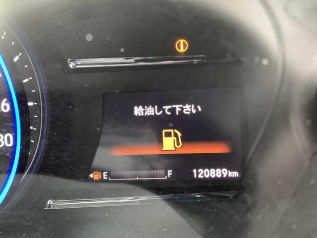 image_10.jpg