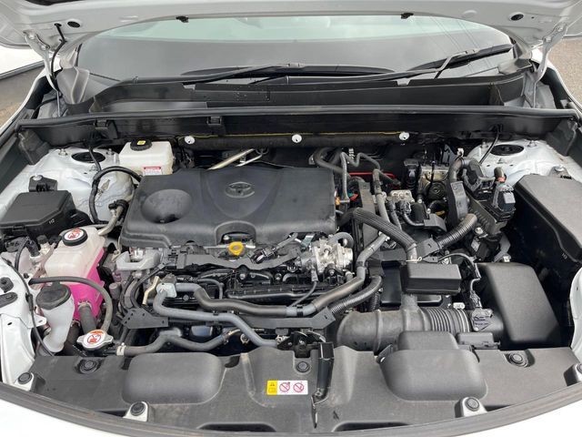 2e51ad6407ab87ea1596b6f0d3f27cee.jpg