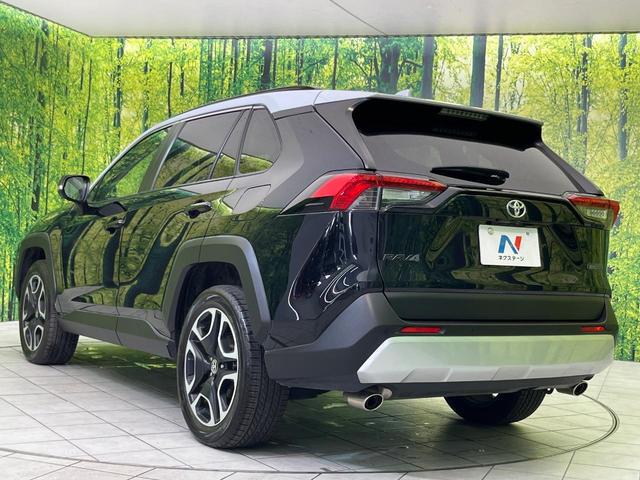 384bb67049f179e91db103b1099efe10.jpg