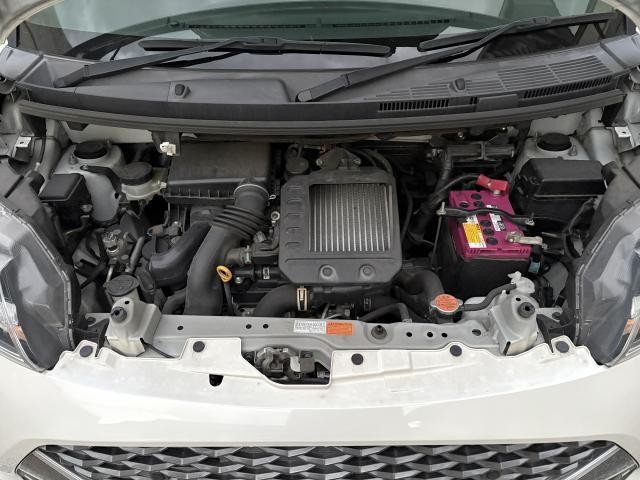 26659597_carP_l_9.jpg