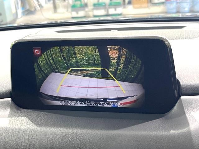 26988973_carP_l_10.jpg