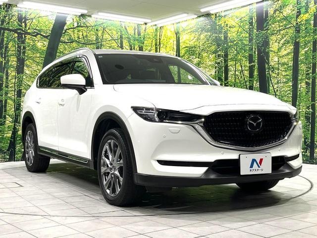 27116624_carP_l_12.jpg