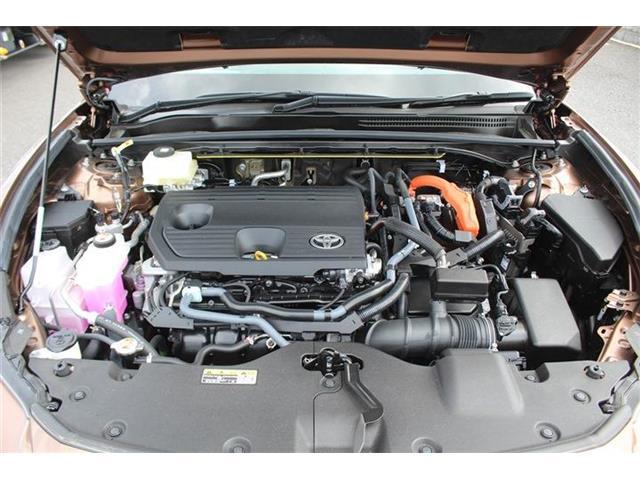 7fcd26b4ae1c526afe560b78bd37daa6.jpg