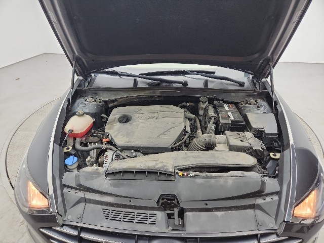 lotterental_151129505_GqaNM_10.jpg