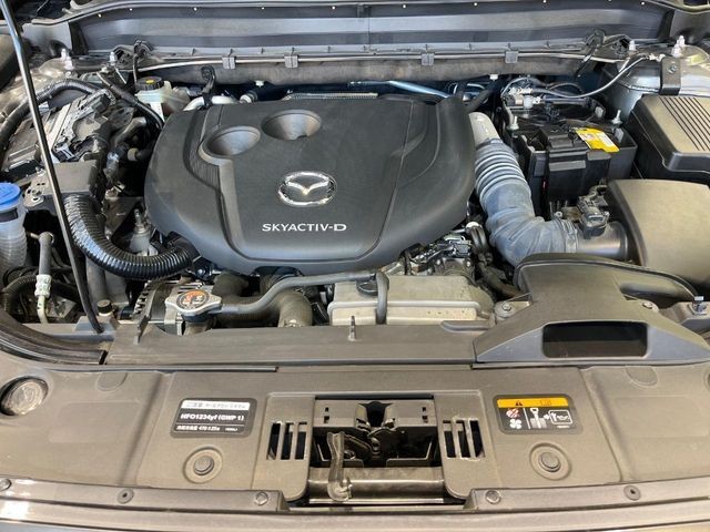 d190f7705d8e73276305d4fb881f7282.jpg