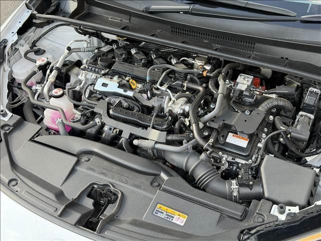 26905510_carP_l_20.jpg