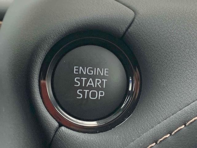 0902705A30261026W01009.jpg