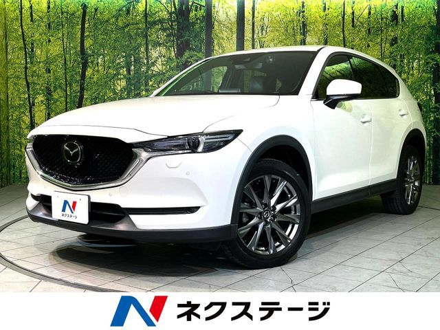 f3047b2a8e7c53c47ef6d7d624151930.jpg