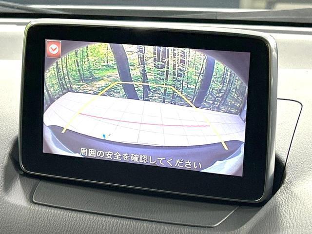22876700_carP_l_4.jpg