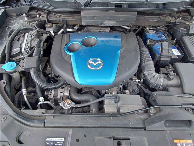 08.jpg