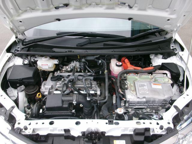 158ef2e306cecf0742144950a46b0cac.jpg