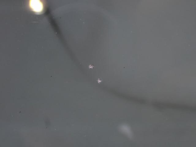 2cf9deb5a5d82e4d12f952233bf1fe85.jpeg