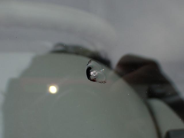 c7186ea49fce4371afe559f27acee442.jpeg