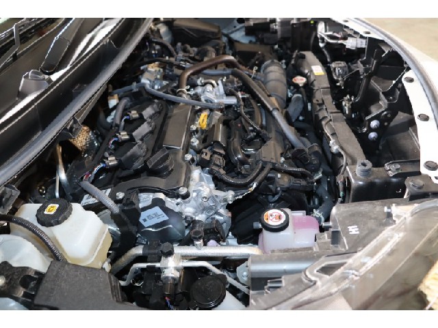 e36bed5a5d7219894e02bf68dddd966e.jpeg