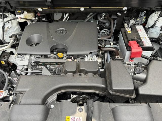 1150133A30260920W00314.jpg