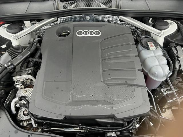 26660229_carP_l_12.jpg