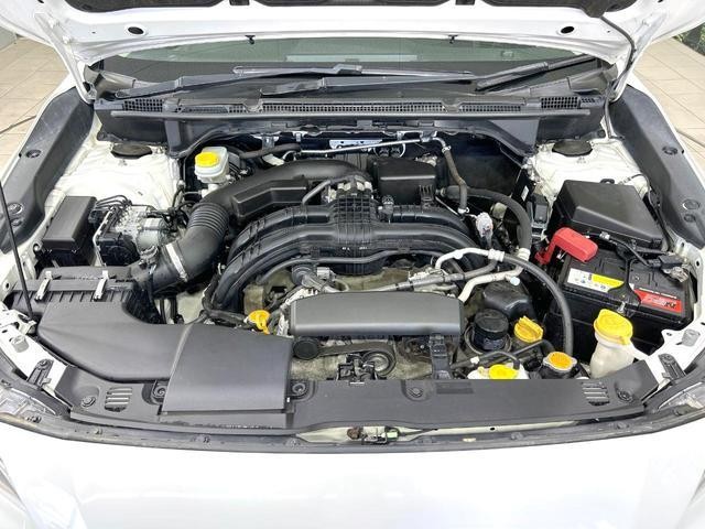 27094725_carP_l_20.jpg