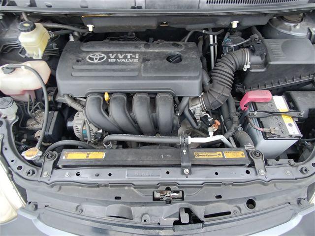 08.jpg