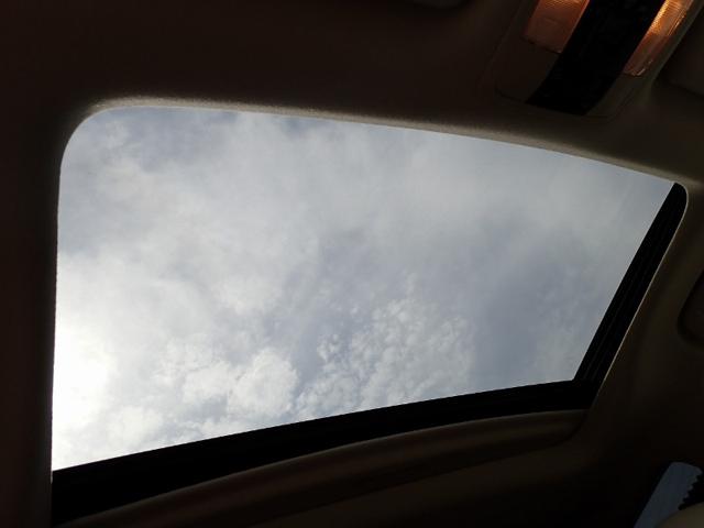 08527ed945e9f1a2faa9881dd563036c.jpeg