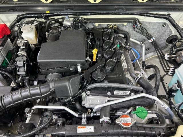 26534612_carP_l_18.jpg