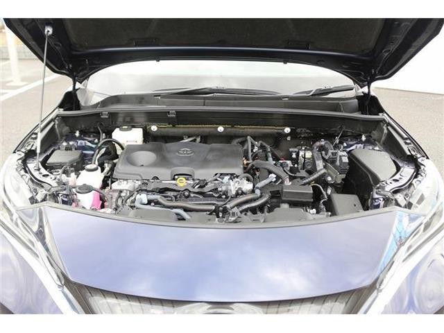daff8de68340d7152ee9d16c4e87f31e.jpg