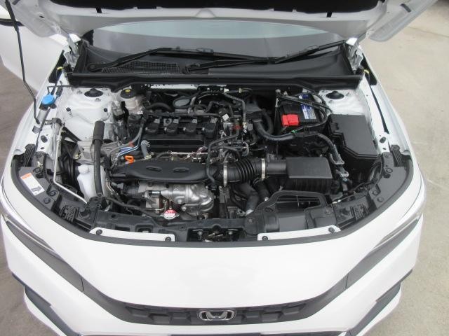 0561088A30260822W00218.jpg