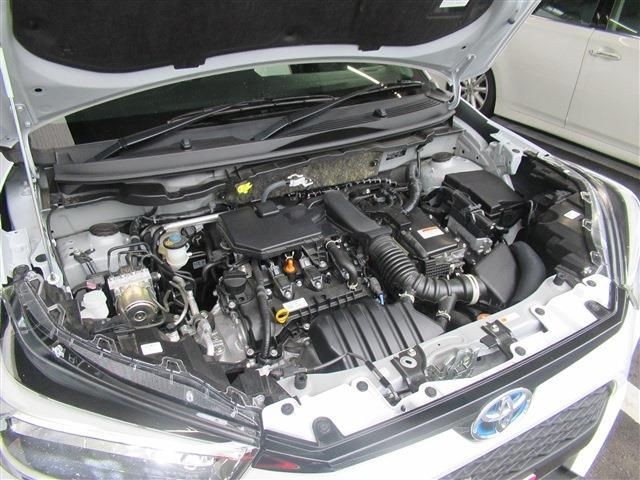 051127fded17109baa8a47f887e6494a.jpg