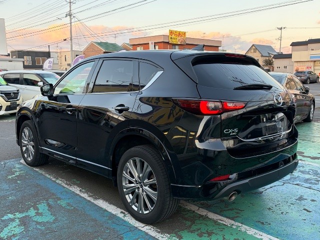 b2028e3d0ca062cc03e3fef8bf2f5468.jpg