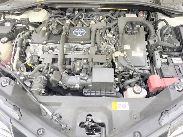 006222d865552ccb3d8850e933a77100.jpg