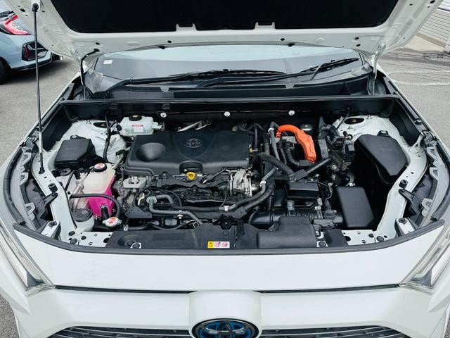0561441A30260831W00302.jpg