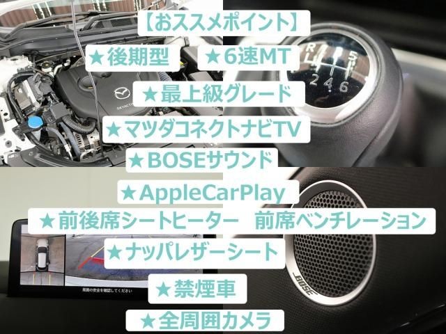 04da3ed40ce30484d070211bd8833561.jpg