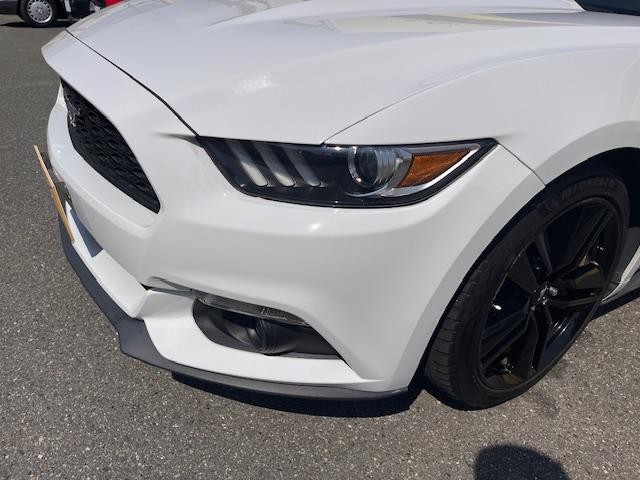 0701809A30260829W00210.jpg