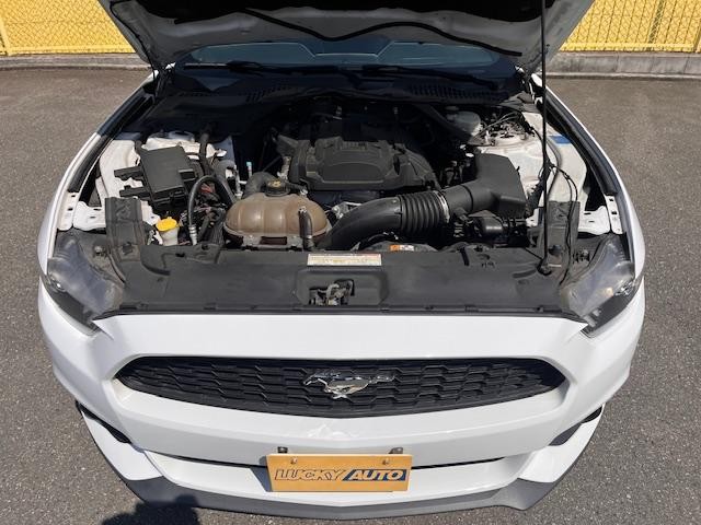 0701809A30260829W00218.jpg
